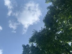 -尚贤河湿地