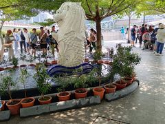 -鱼尾狮公园