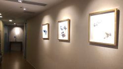 -海豚湾高端月子会所(黄浦店)