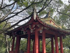 -乌山风景区