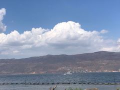 -才村湿地公园