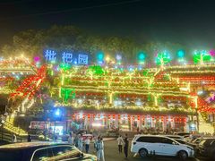 -枇杷园食为鲜火锅(南山店)