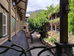-呀诺达热带雨林