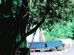 -西湖风景区十里琅珰-五云山