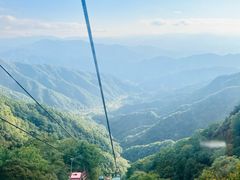 -王顺山国家森林公园