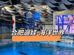-合肥海洋世界