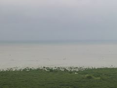 -红树林天天赶海
