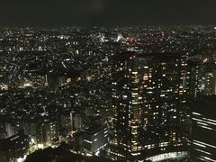 -东京都厅舍