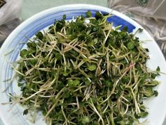 -火娃菜馆(新岭花园1期店)