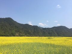 -新安江山水画廊风景区