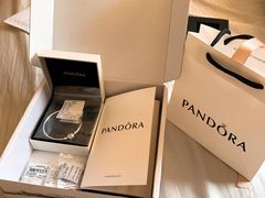 -Pandora潘多拉珠宝(朝阳大悦城店)