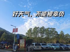 -黄埔油麻山森林公园