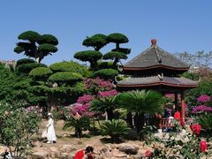 -南宁南湖公园