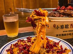 -福苗小骆驼烧烤(凤八店)