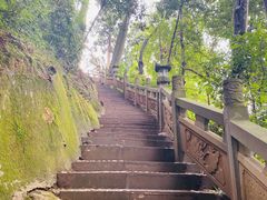 -凤栖山