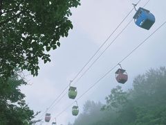 -蝶舞清江·恩施云顶景区(黄鹤峰林)