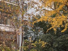 -天目湖御水温泉·度假酒店