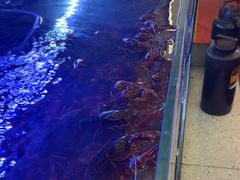 -三子烤羊腿·海鲜(弘阳店)