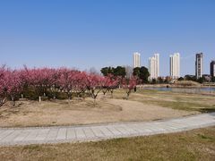 -长广溪湿地公园