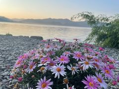 -丽江泸沽湖景区