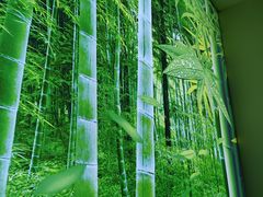 -原鄉本味 楚菜 丹江口鱼(北苑店)