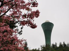 -狐尾山公园