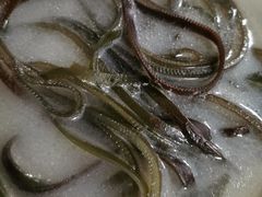 骨汤海带-玉滋補