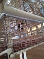 -PIPIKINGDOM皮皮王国欢乐号(欢乐海岸购物中心店)