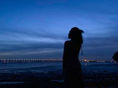 -宝安西湾红树林湿地公园