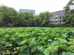 -四川大学(望江校区)