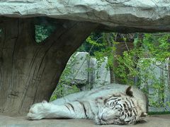 -北京野生动物园