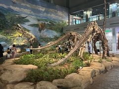 -自贡恐龙博物馆