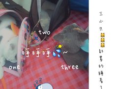 -永定河休闲森林公园