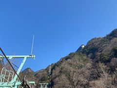 -朱雀国家森林公园