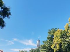 -深圳国际园林花卉博览园