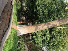 -通安客栈中餐厅·何家小馆