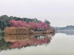 -青龙湖公园