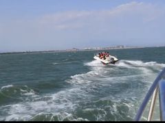 -南戴河国际娱乐中心