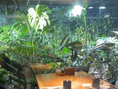 -森味薪火烧•烧鸟居酒屋•日本料理(望京店)
