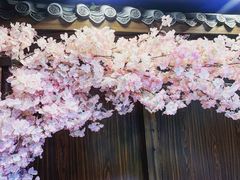 -白兔子密室(长寿路店)