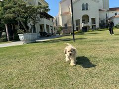 -福懋动物医院·犬猫全科·外科·重症科(杏林分院)