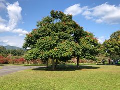 -中国科学院西双版纳热带植物园