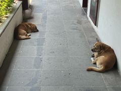 -重元寺香积厨素斋馆