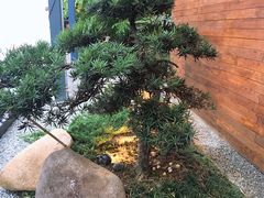 -江滨壹号艺文空间复合餐厅(闽江大道店)