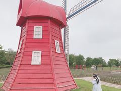 -九龙湖公园