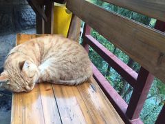 -汉中石门栈道景区