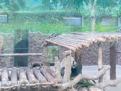 -黔灵山公园