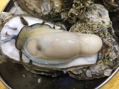 -蚝专家(北滘店)