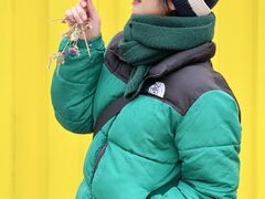 -春花秋色城市公园