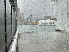 -海港城